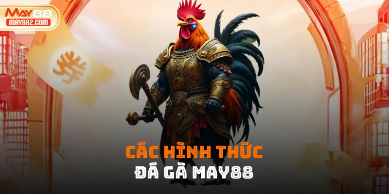 Các hình thức đá gà May88 