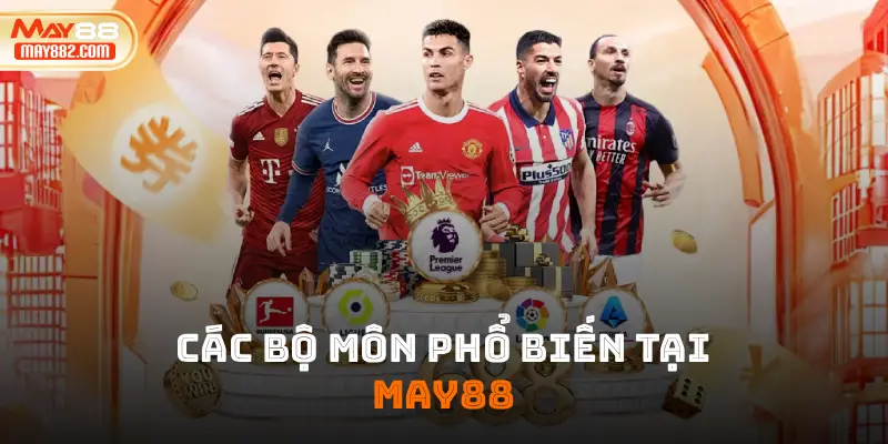 Hướng dẫn và kinh nghiệm 